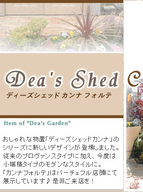 _X^C̕uuJitHev-Dea's Shed Canna Forte- by Dea's Garden